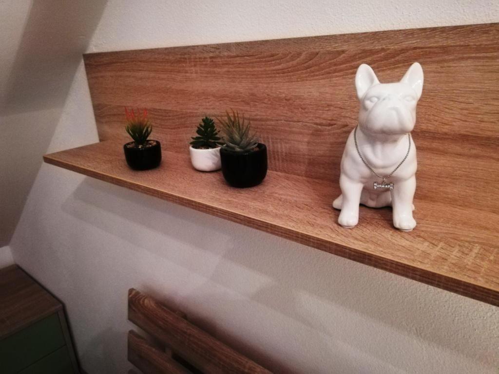 Apartmán Galeria Stastie Senec Exteriér fotografie